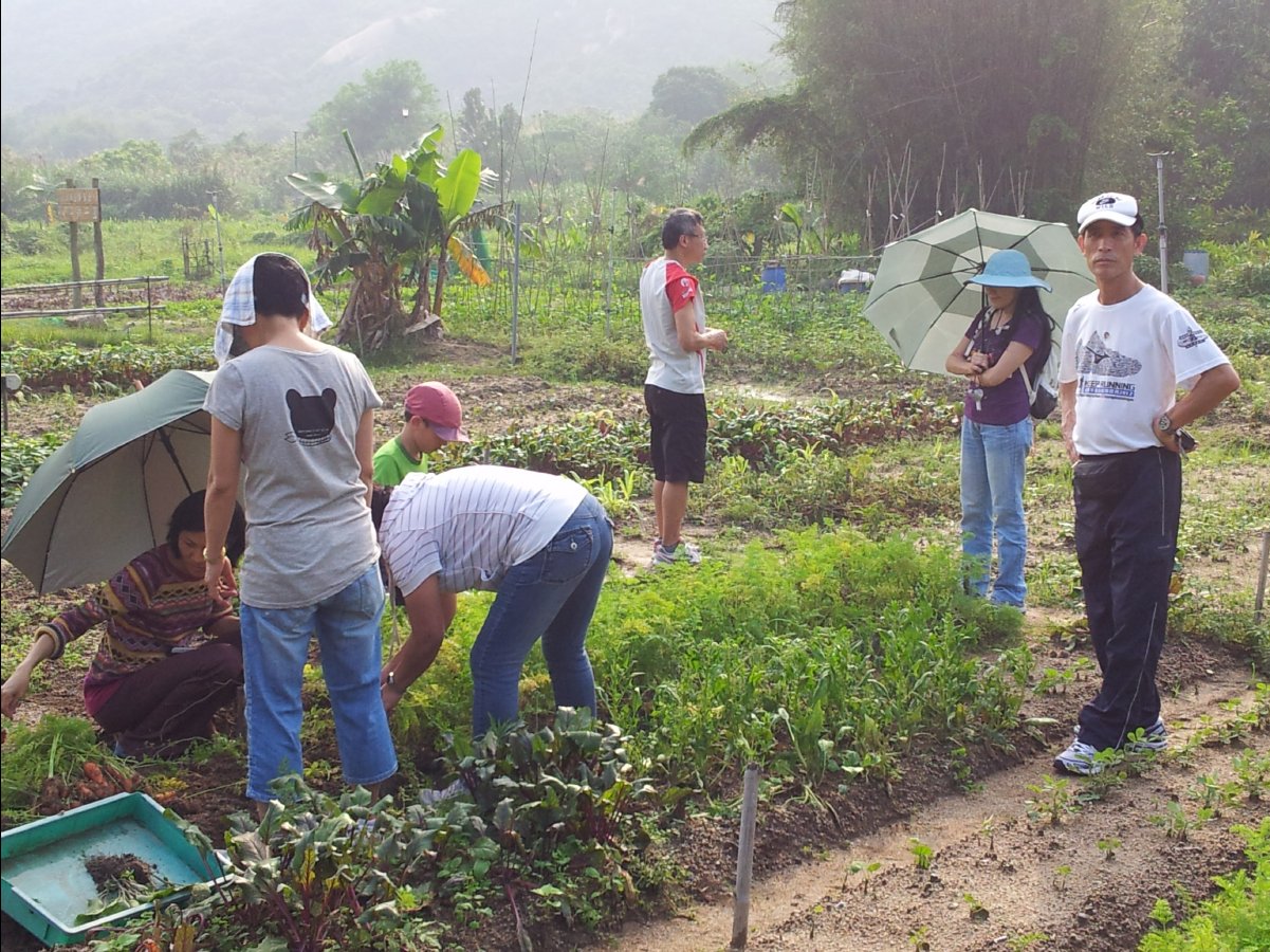 20120422Organic Farm41